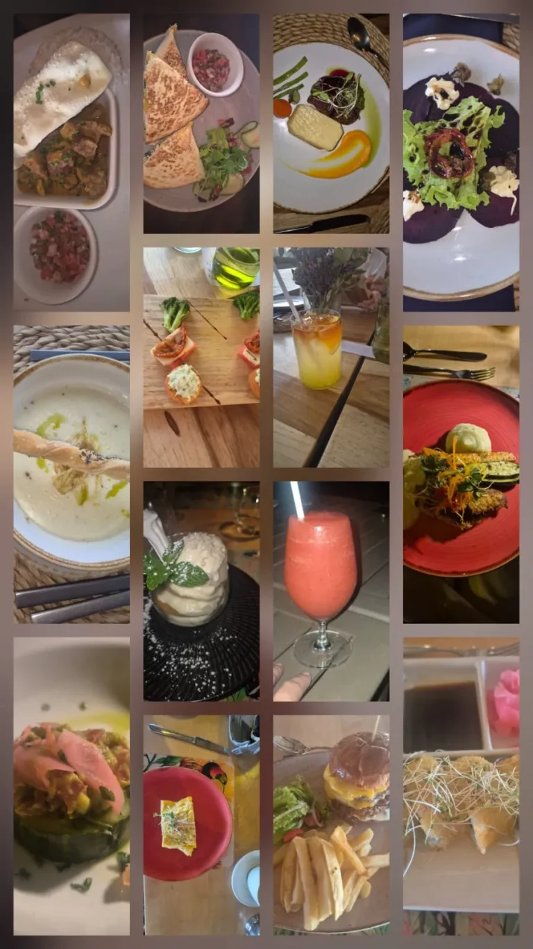 Catering 4